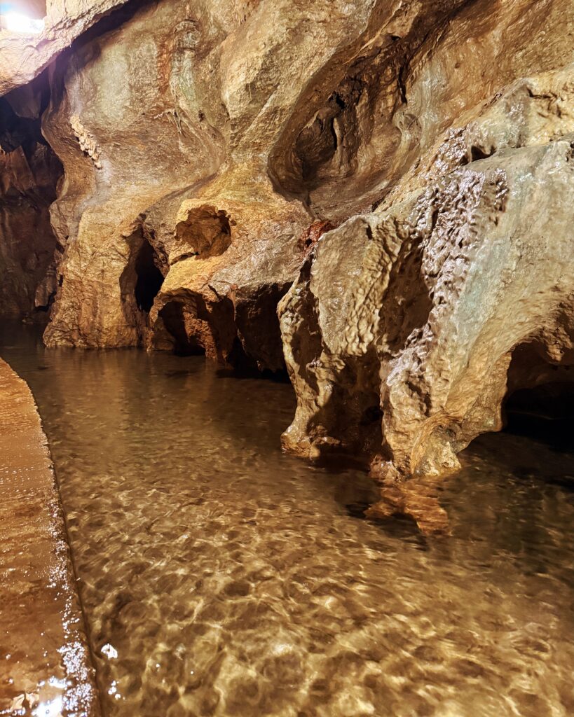 Linville Caverns, NC pool that is home to a fish